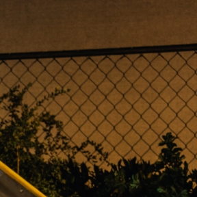 Setting the Stage for Barbecue