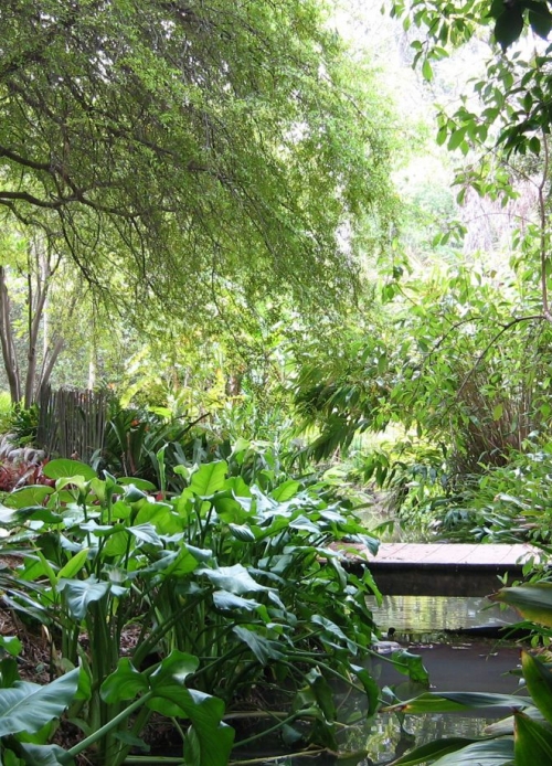 Mildred E. Mathias Botanical Garden