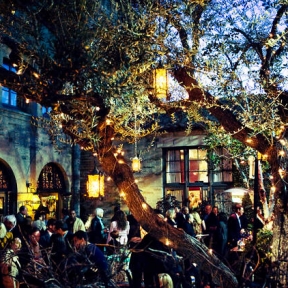 Local treasure Arye Gross takes a road not yet traveled in 'Underneath the Lintel'