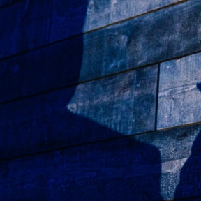 Opening The Curtain: That’s a Good Trick