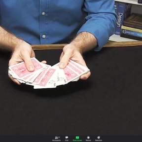 Does Interactive Theater Work on Zoom? Two Theaters Switch on the Video.