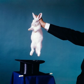 How the Pandemic Made Magic Shows Magical Again