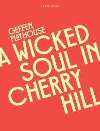 A Wicked Soul in Cherry Hill Study Guide