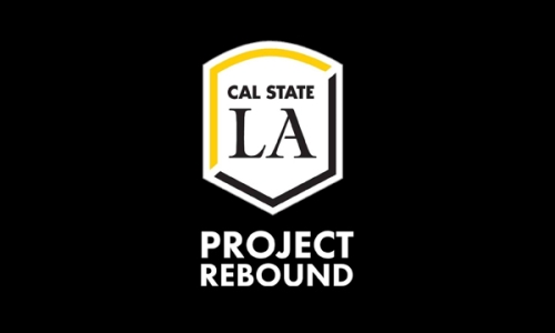 Project Rebound
