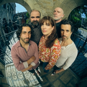 The Ants Review – The Power of Numbers