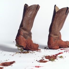 Can I Get A Witness?